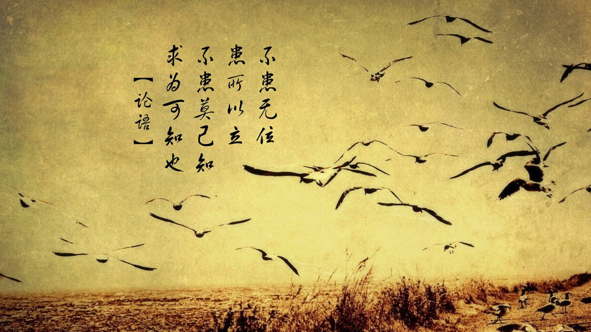 “三亿人上冰雪”政策持续推进,冰雪运动参与人数不断增加,带动三亿人参加冰雪运动目标
