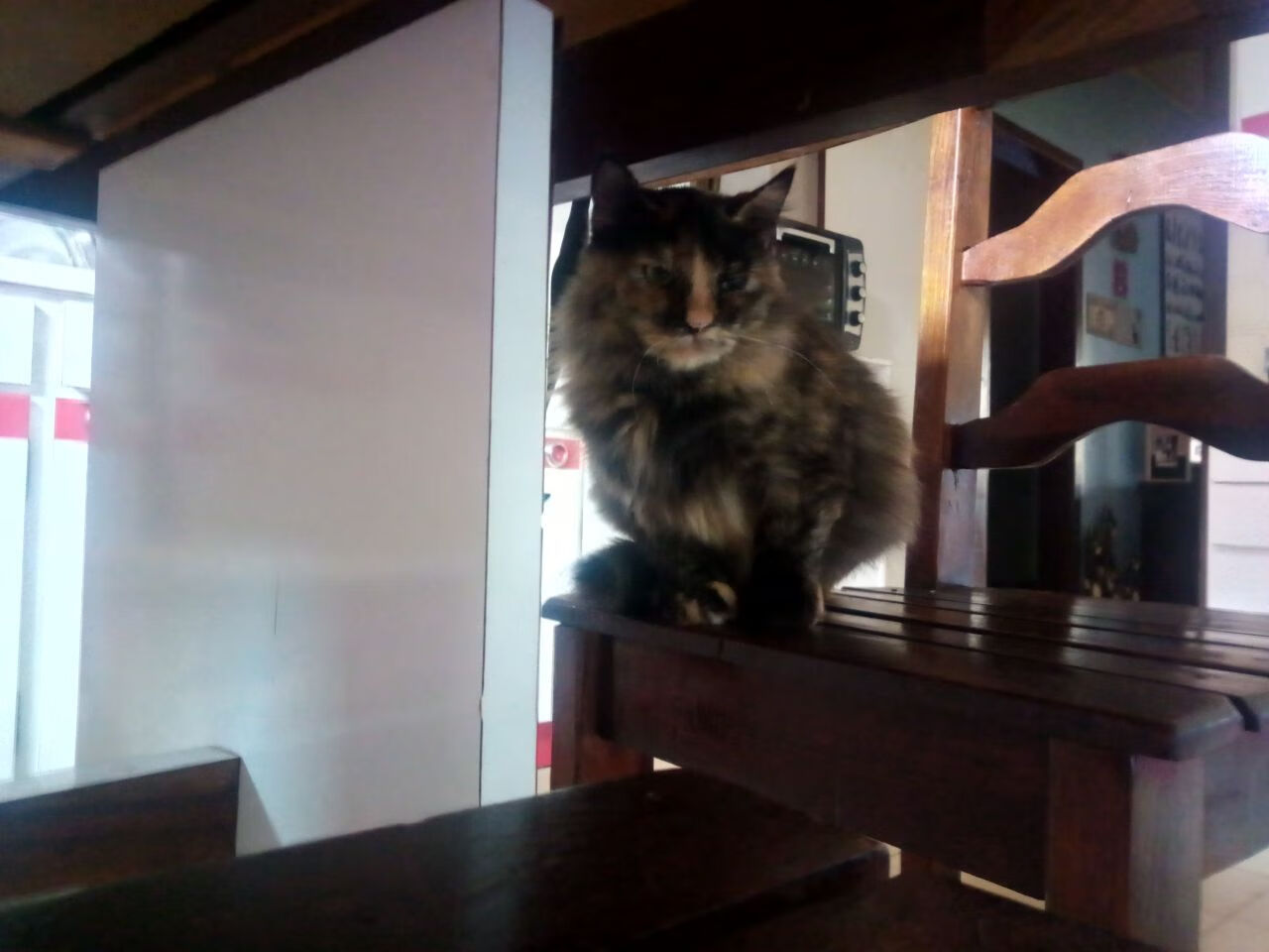 【智能分析】助力球队提前预判对手战术变化,预测球队夺冠概率的方法