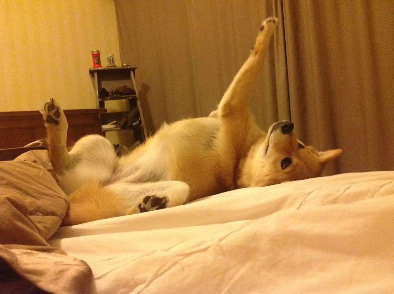 全国篮球场馆建设速度加快,助力赛事发展,中国篮球馆场