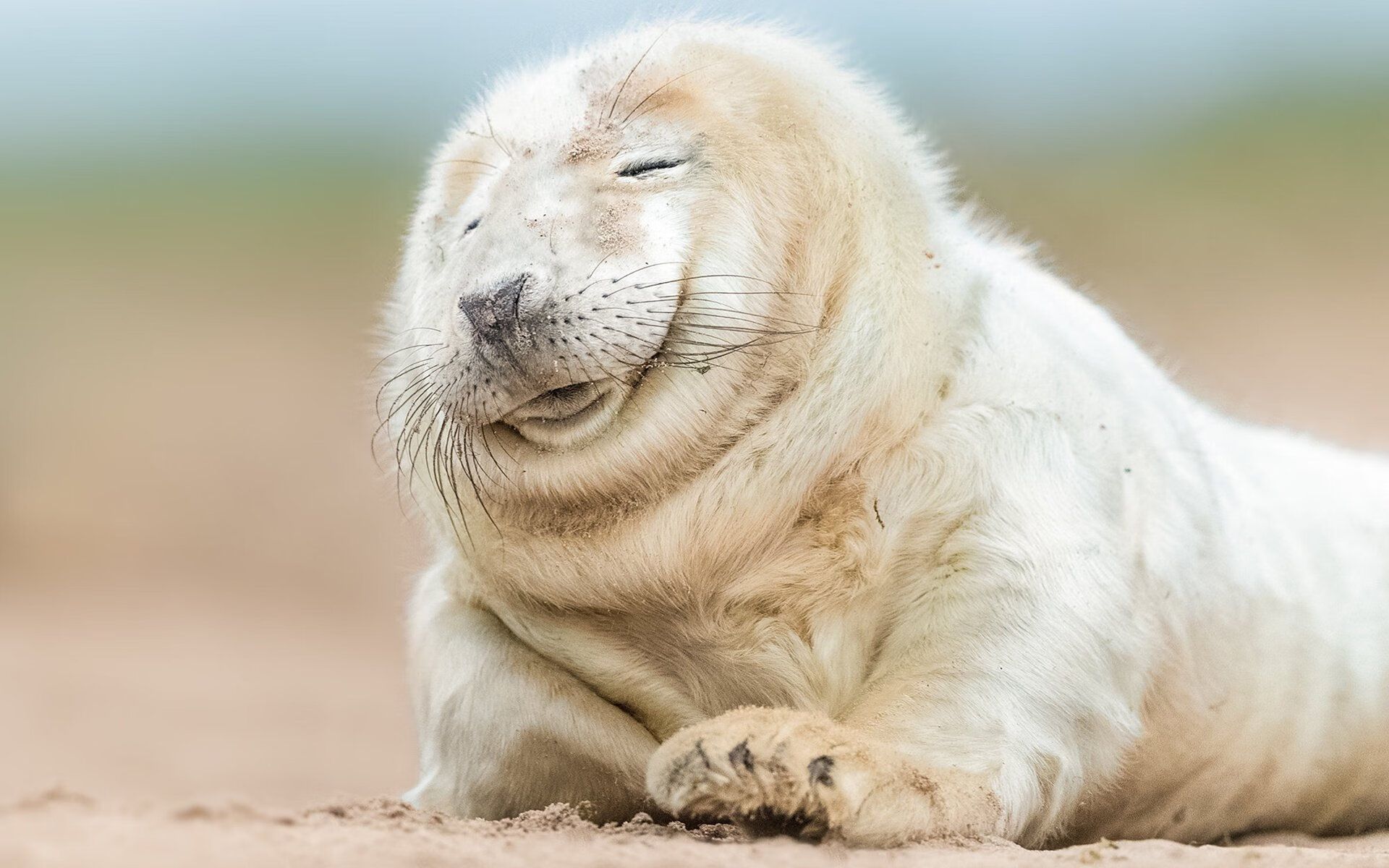 开云娱乐-《2025年电竞市场迎来多元化发展，品牌广告持续扩展》，2021电竞市场的发展状况