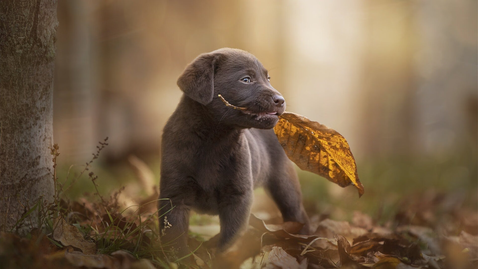 开云网站-【青少年训练指南】入门到精通的训练路线图，青少年训练营有用吗