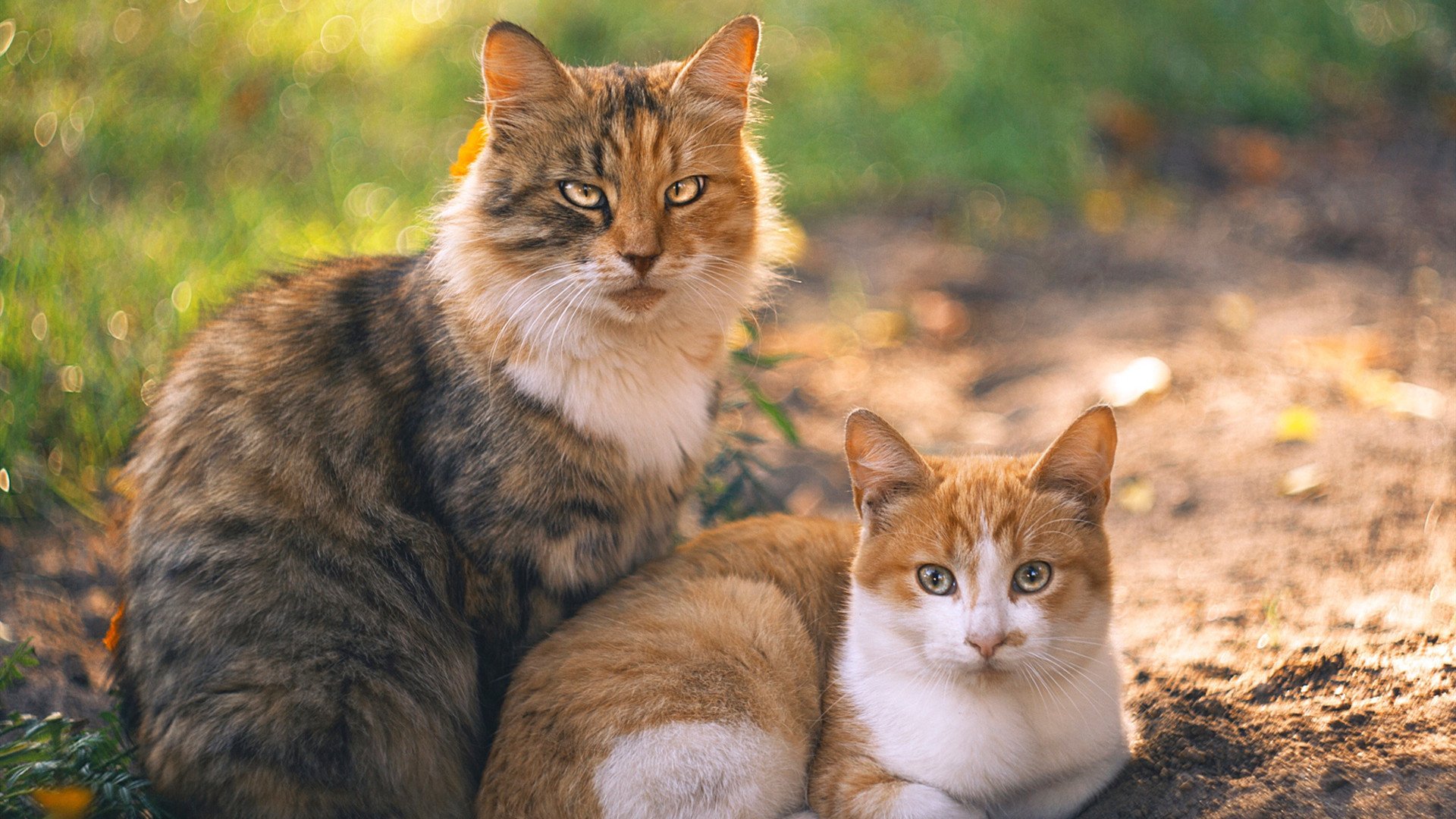 开云APP-乌拉圭队在巴黎奥运会比赛中多次利用边路进攻，乌拉圭奥运会预选赛